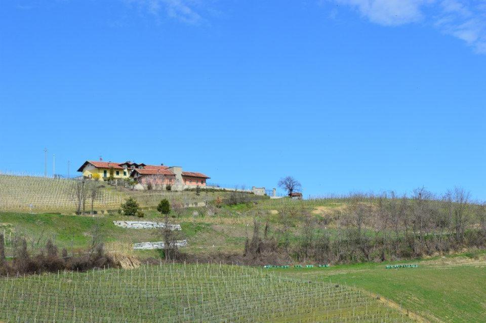 Agriturismo Cascina Rabalot Diano dʼAlba Kültér fotó