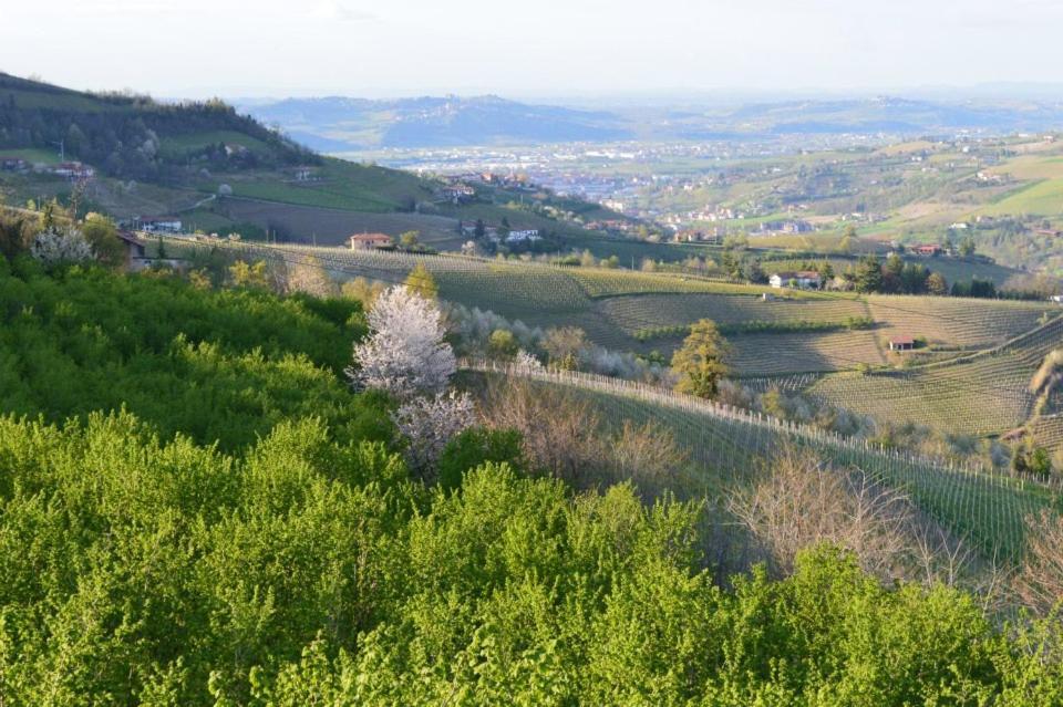 Agriturismo Cascina Rabalot Diano dʼAlba Kültér fotó